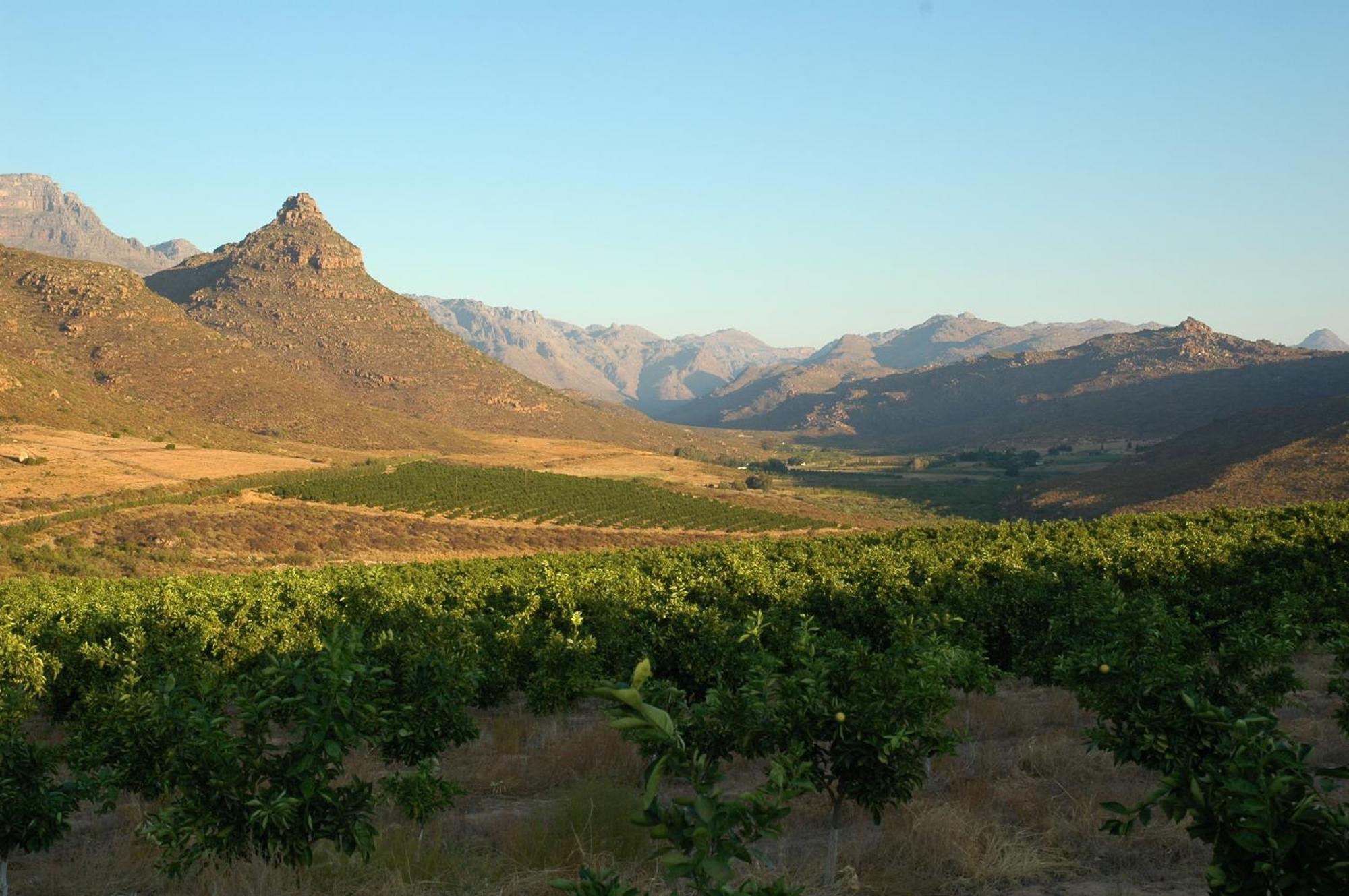 Klein Boschkloof Βίλα Clanwilliam Εξωτερικό φωτογραφία