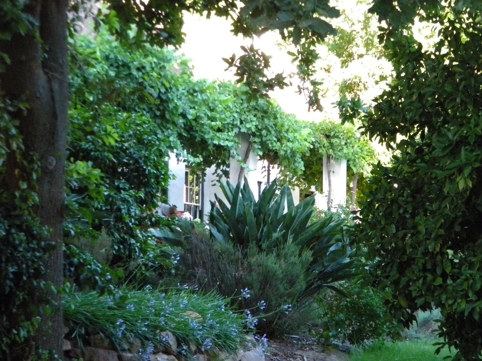 Klein Boschkloof Βίλα Clanwilliam Εξωτερικό φωτογραφία